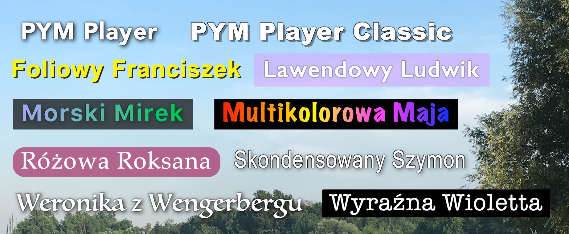 Zrzut ekranu przedstawiający wszystkie fajne style wyświetlania napisów w PYM Playerze